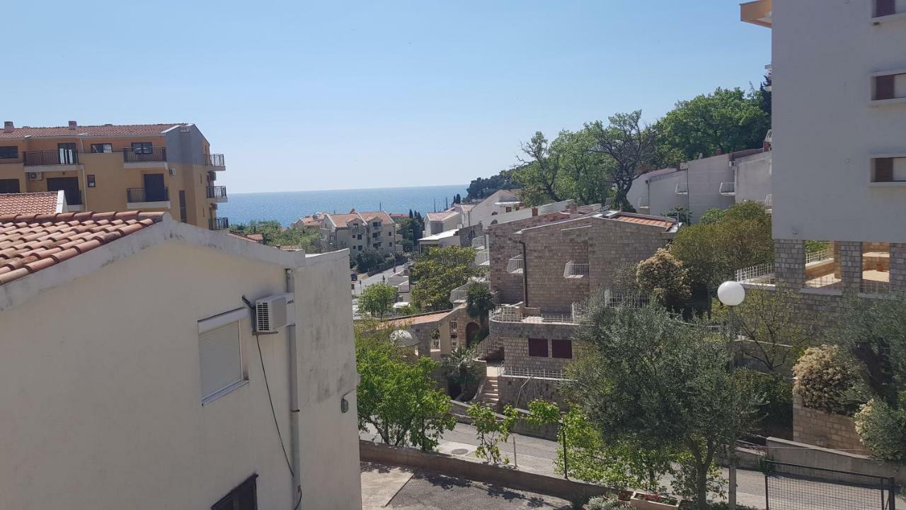 Apartmani Irena Petrovac Habitación foto